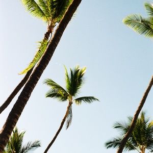 Meet your Posher, Aviv